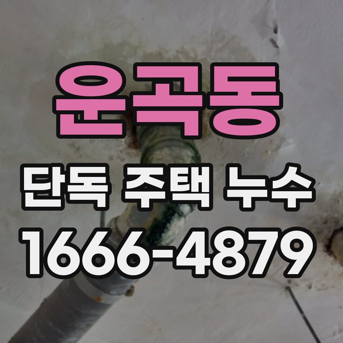 운곡동 단독 주택 누수