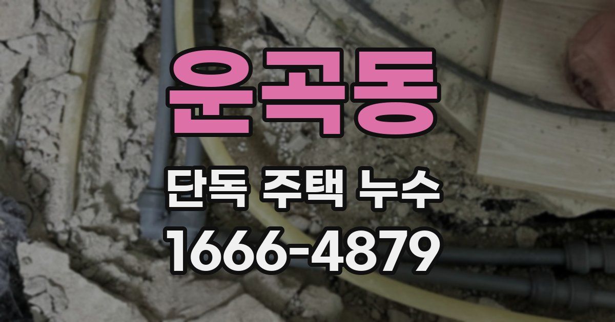 운곡동 단독 주택 누수