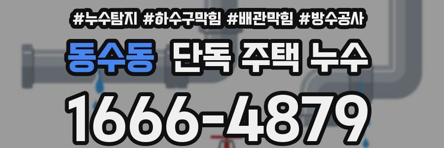 동수동 단독 주택 누수
