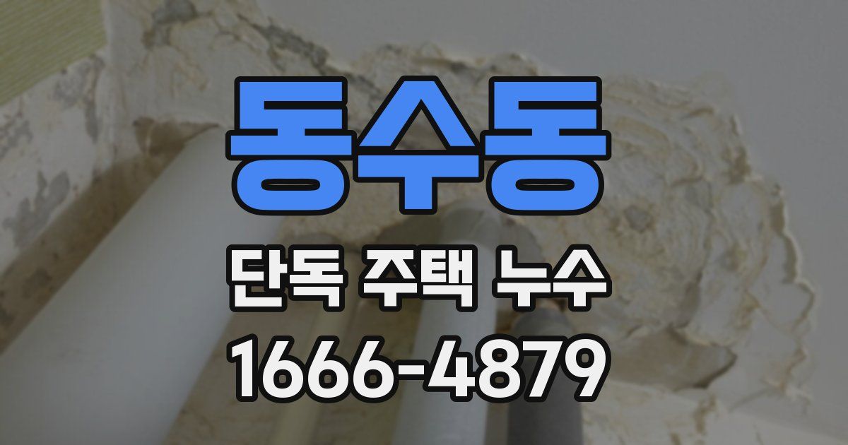 동수동 단독 주택 누수
