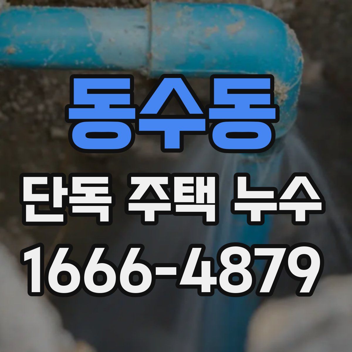 동수동 단독 주택 누수