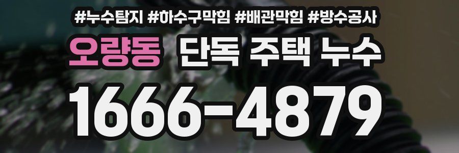 오량동 단독 주택 누수