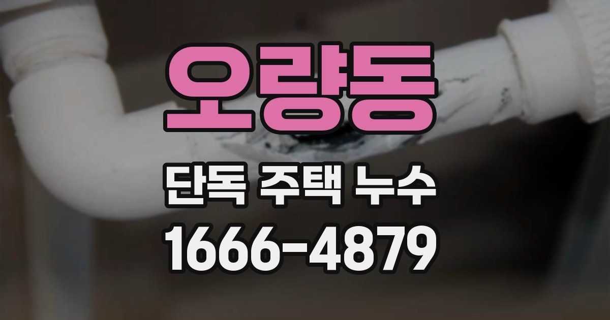 오량동 단독 주택 누수
