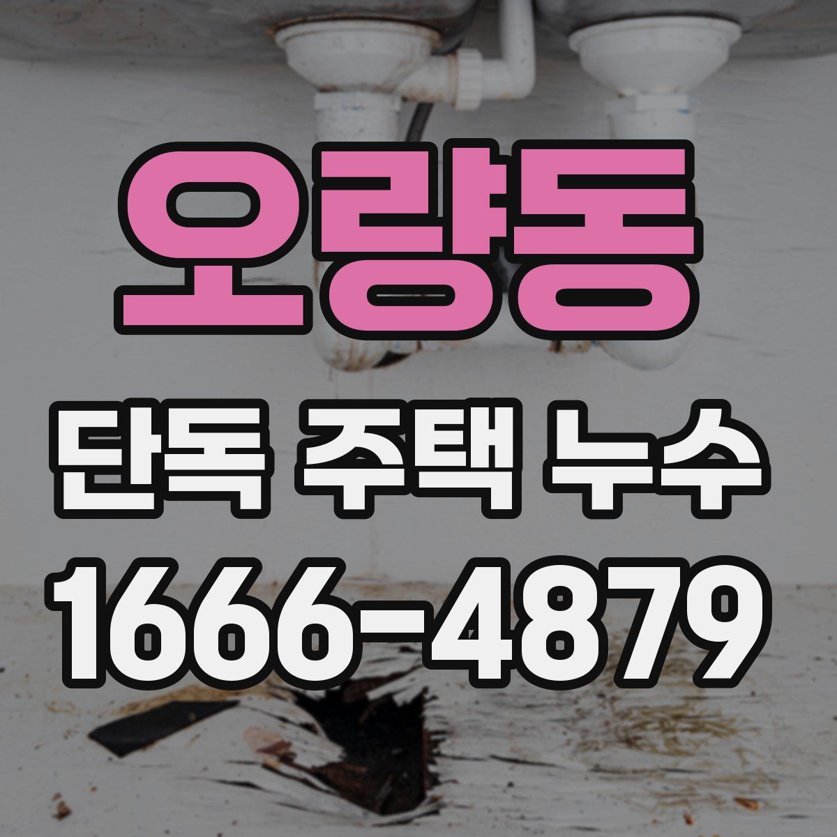 오량동 단독 주택 누수
