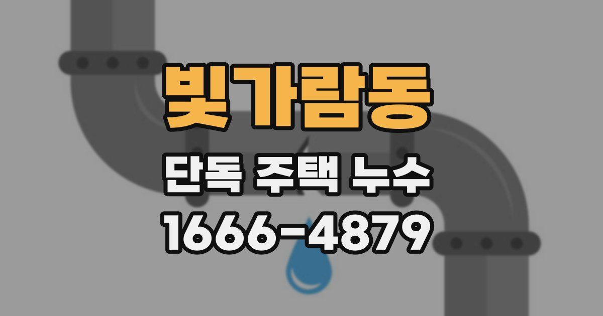 빛가람동 단독 주택 누수