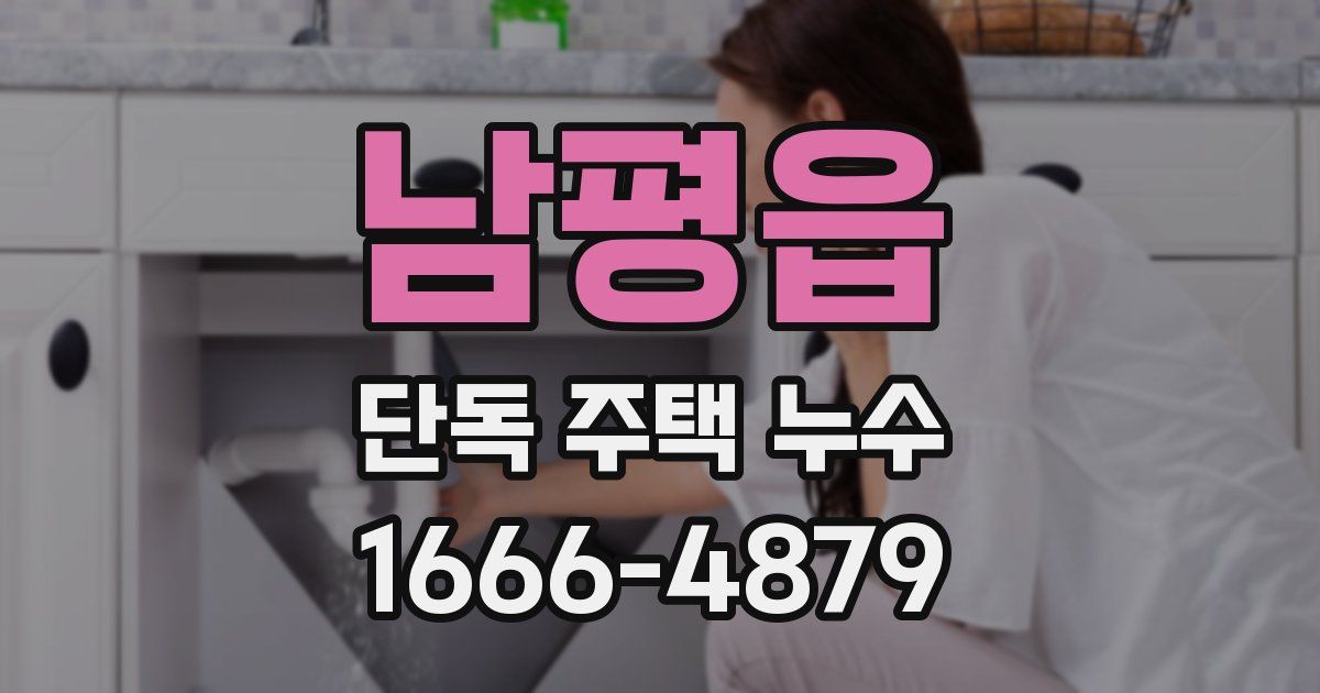 남평읍 단독 주택 누수