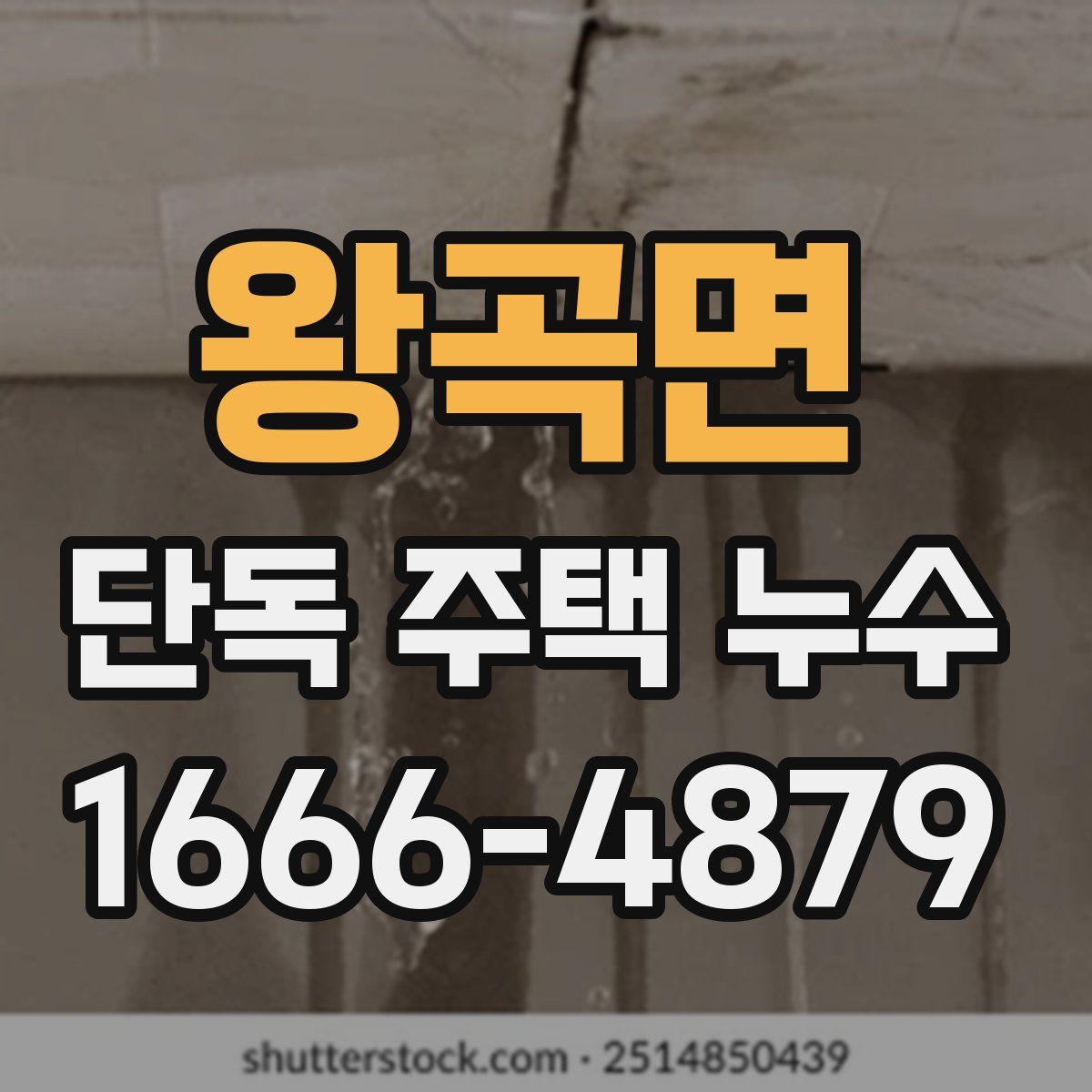 왕곡면 단독 주택 누수