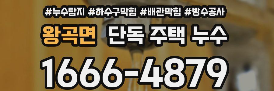 왕곡면 단독 주택 누수