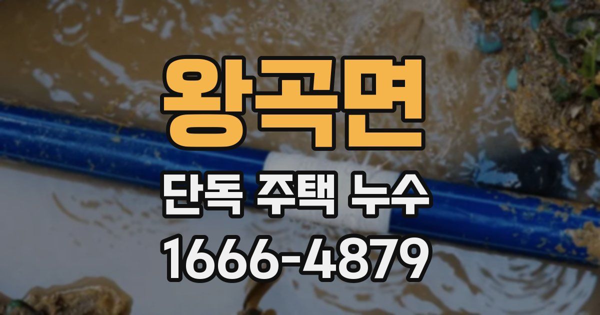 왕곡면 단독 주택 누수