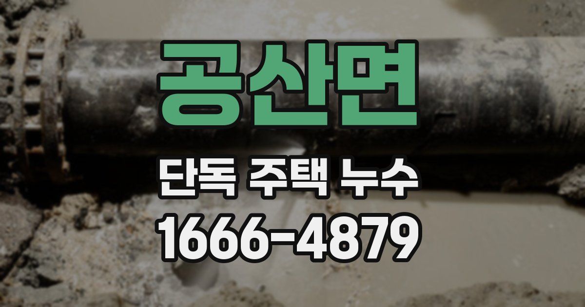 공산면 단독 주택 누수