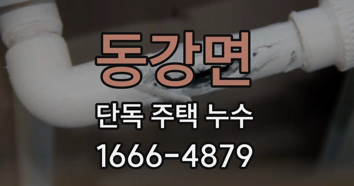 동강면 단독 주택 누수