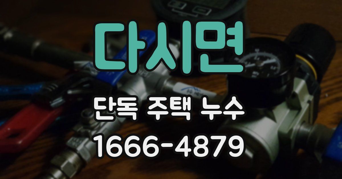 다시면 단독 주택 누수