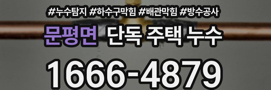 문평면 단독 주택 누수