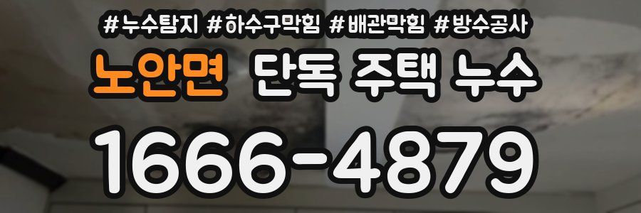 노안면 단독 주택 누수