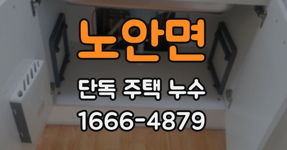 노안면 단독 주택 누수