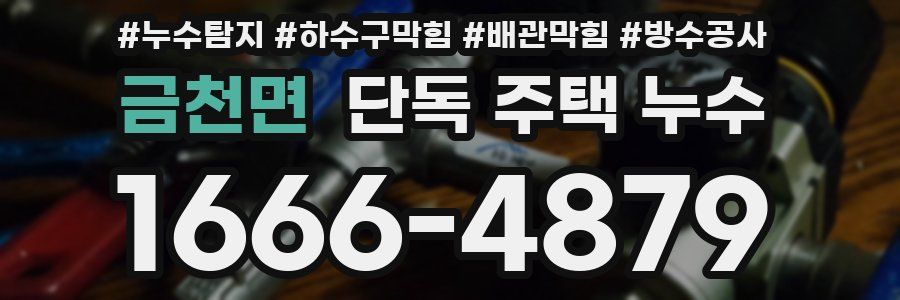 금천면 단독 주택 누수