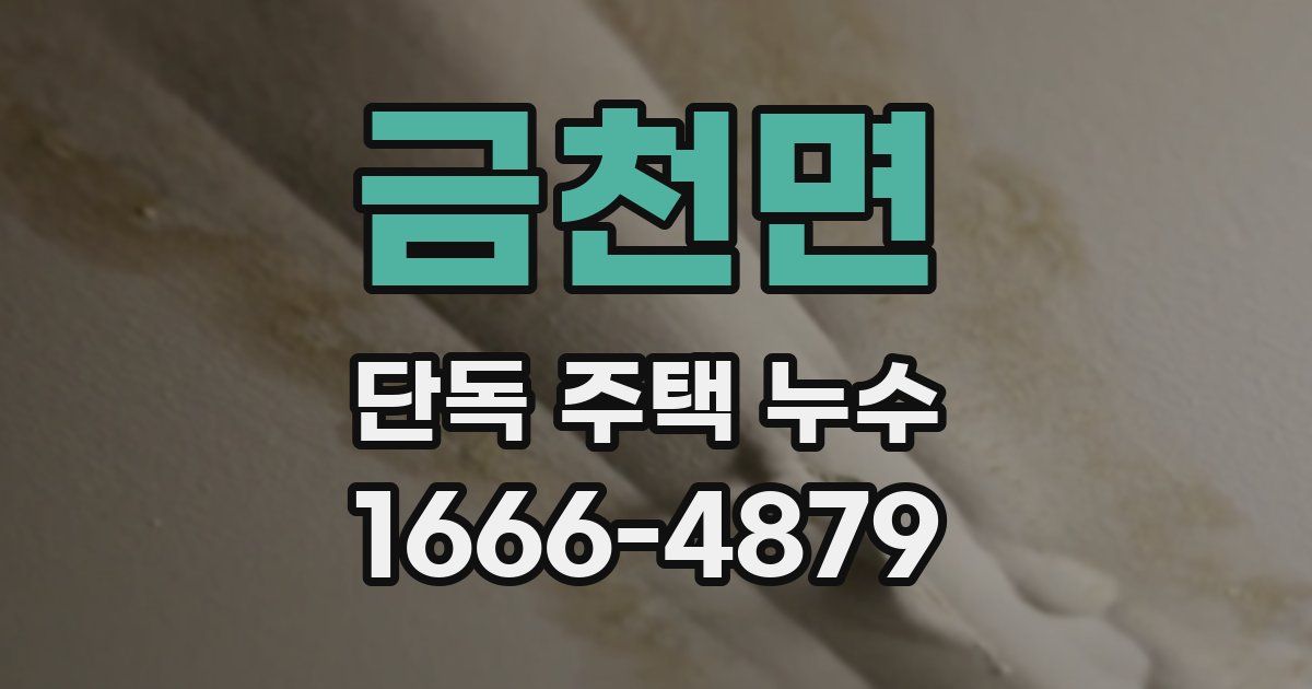 금천면 단독 주택 누수