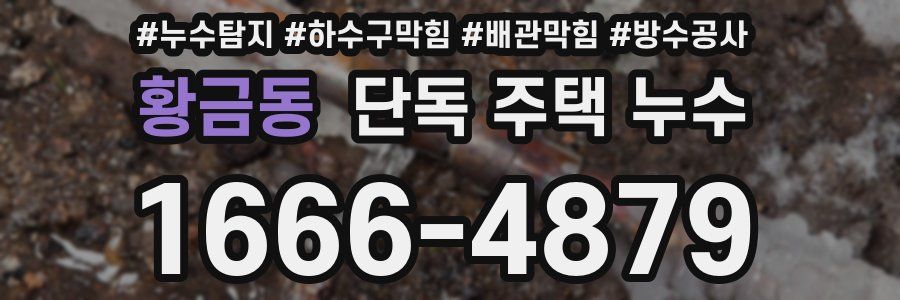 황금동 단독 주택 누수