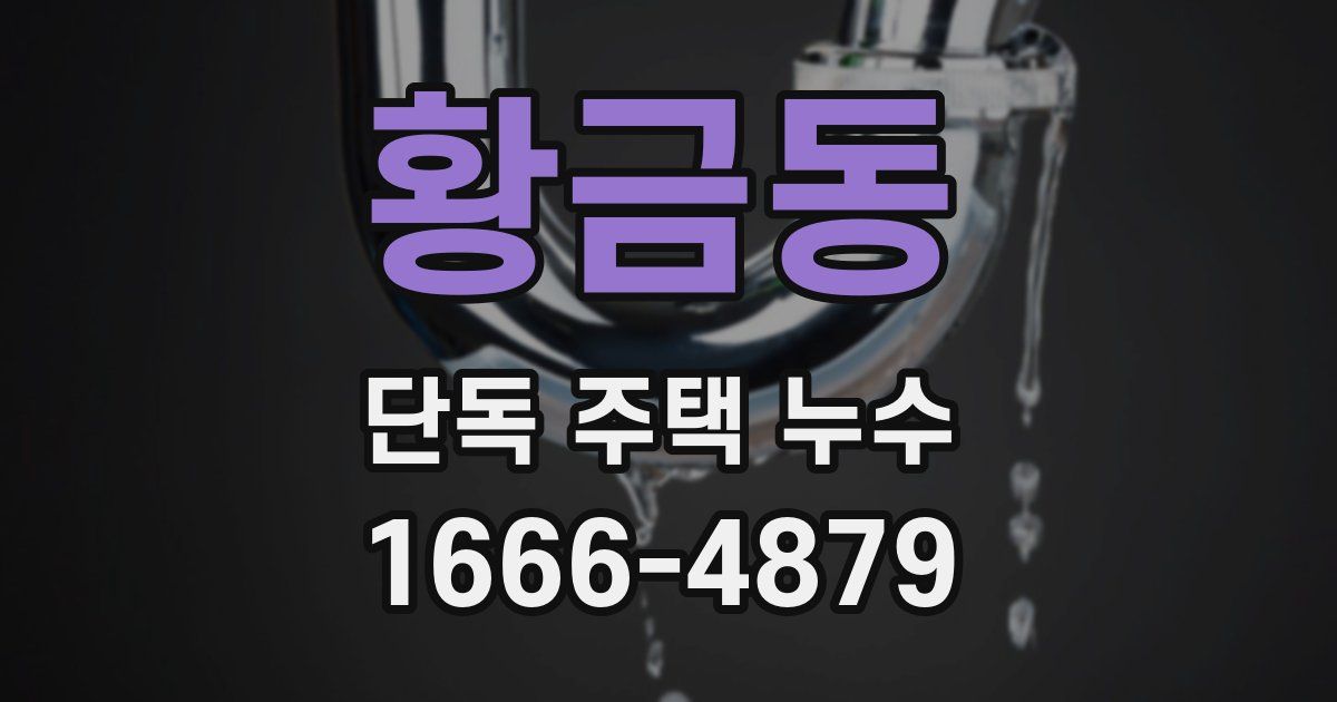 황금동 단독 주택 누수