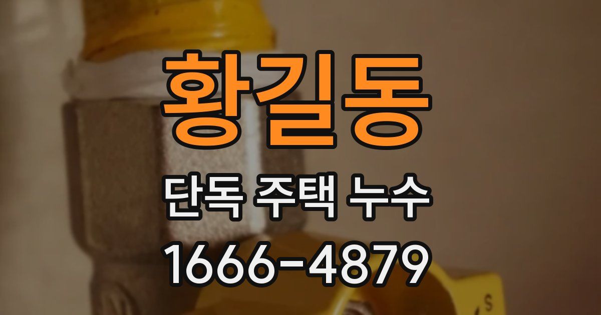 황길동 단독 주택 누수