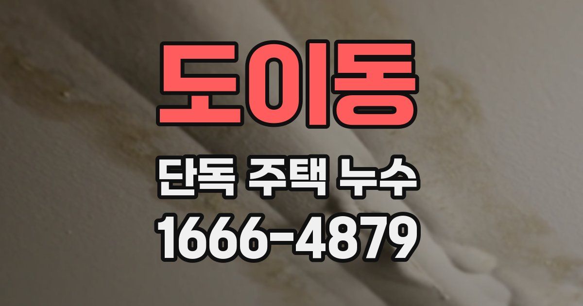 도이동 단독 주택 누수