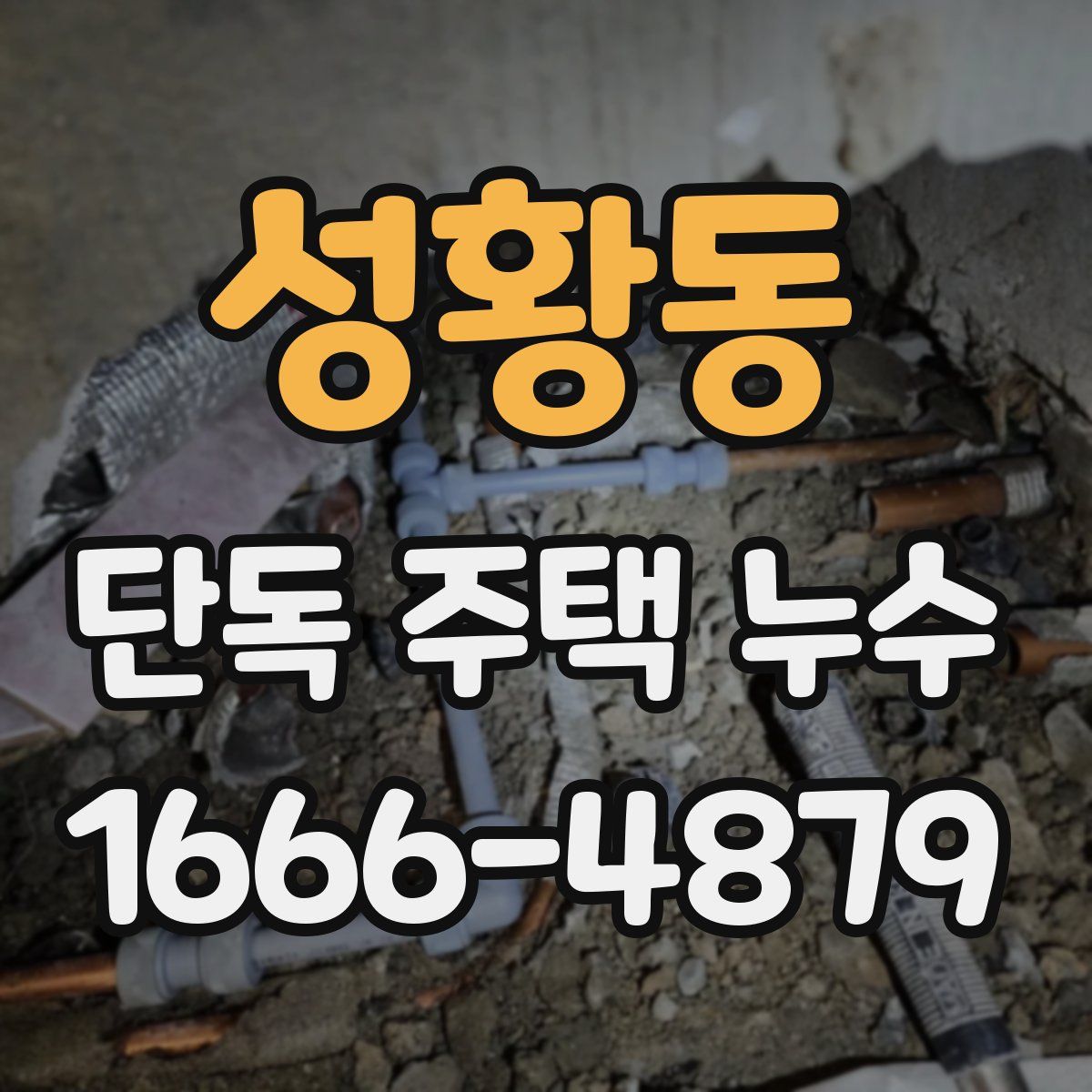 성황동 단독 주택 누수