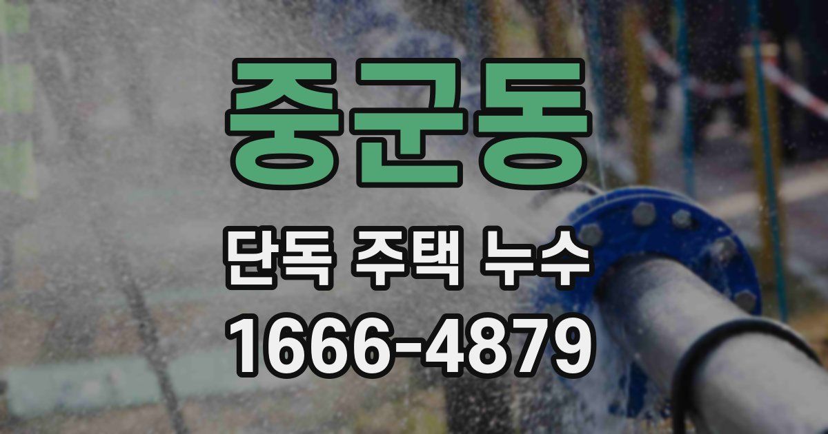 중군동 단독 주택 누수