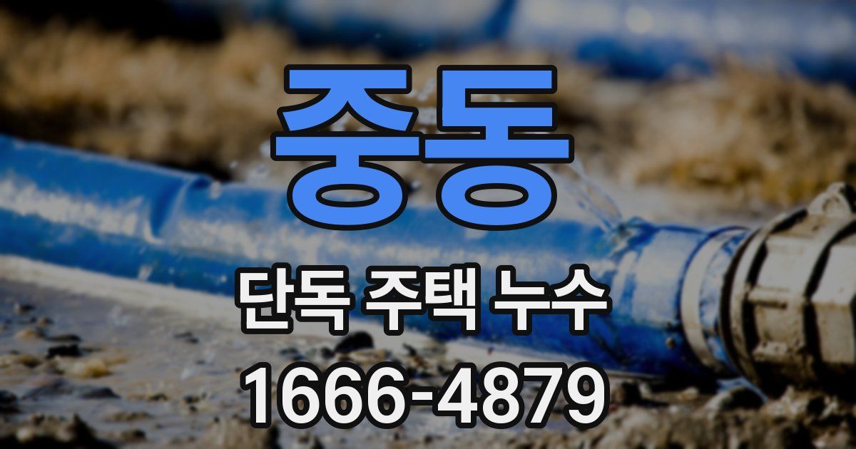 중동 단독 주택 누수