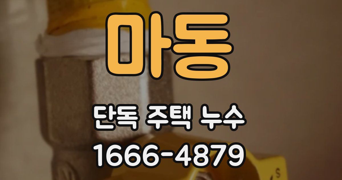 마동 단독 주택 누수