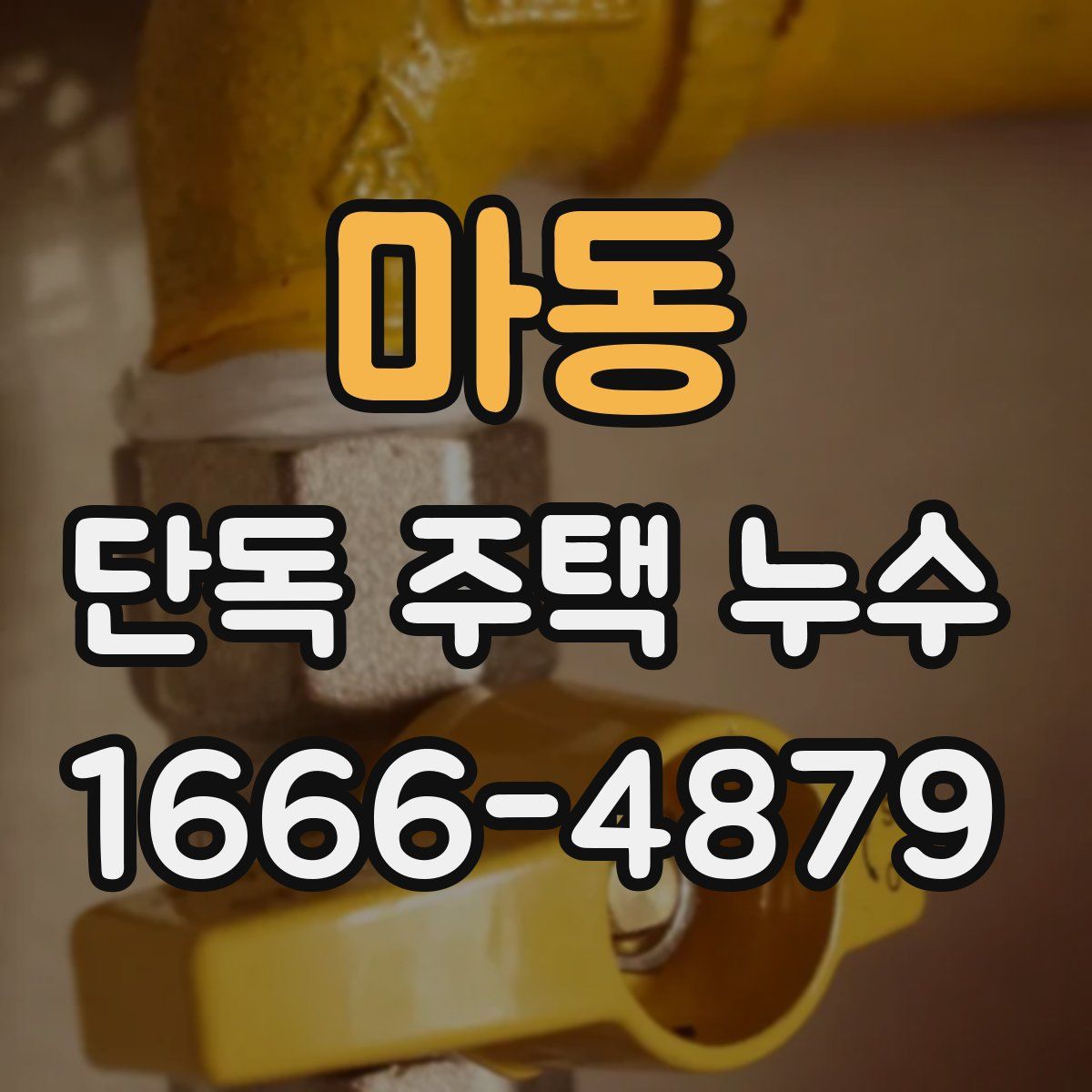 마동 단독 주택 누수