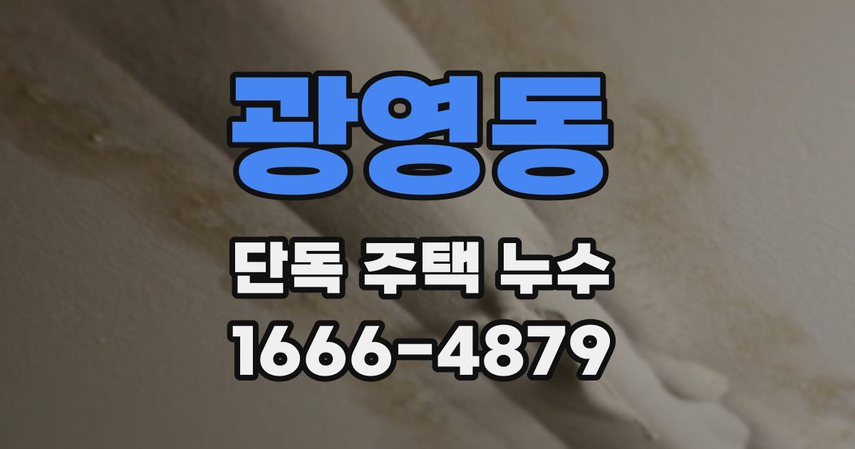 광영동 단독 주택 누수