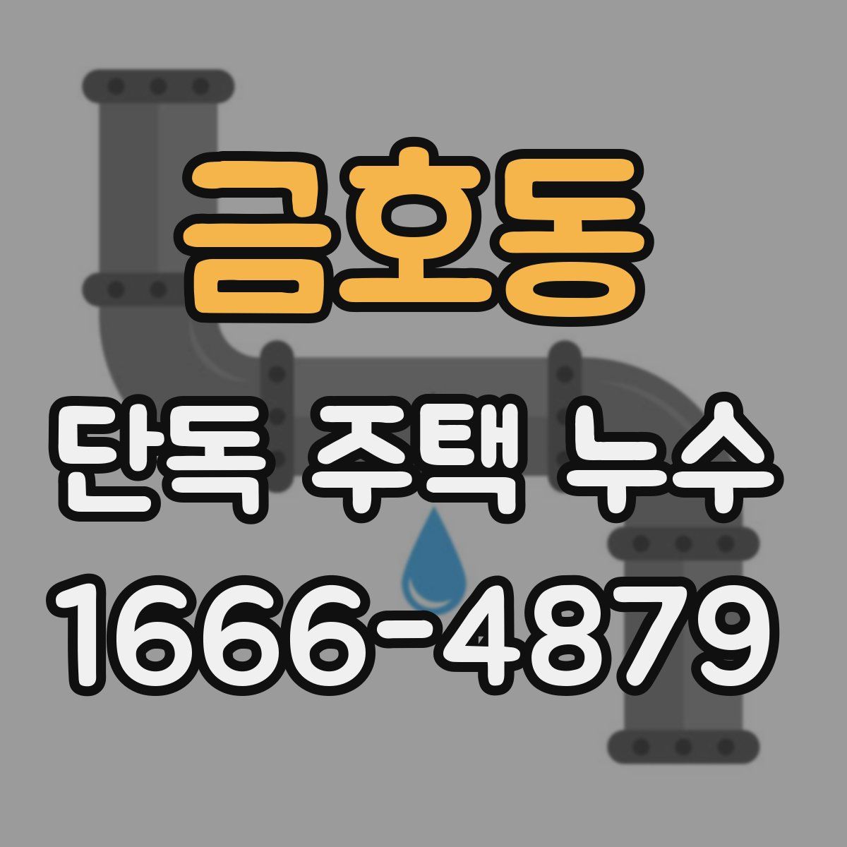 금호동 단독 주택 누수
