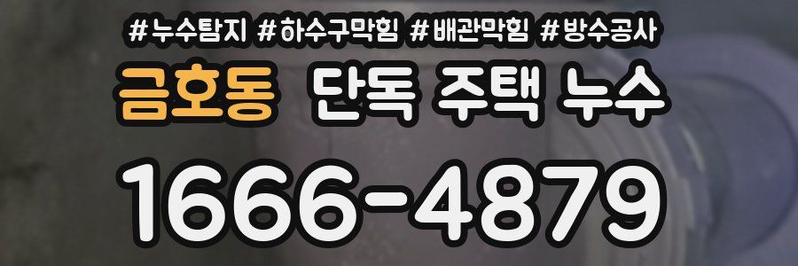 금호동 단독 주택 누수