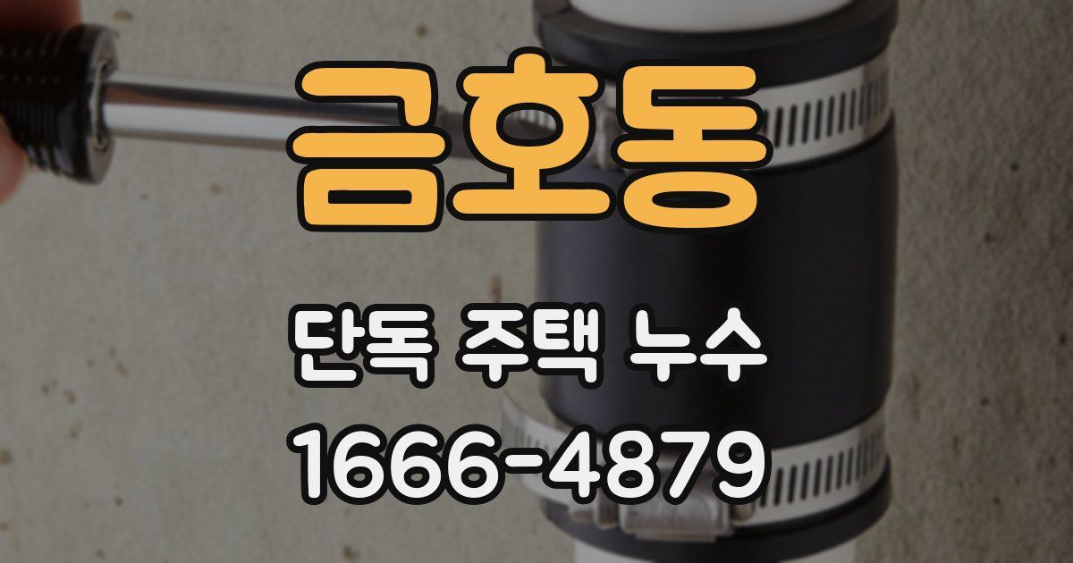 금호동 단독 주택 누수