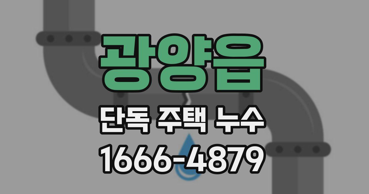 광양읍 단독 주택 누수