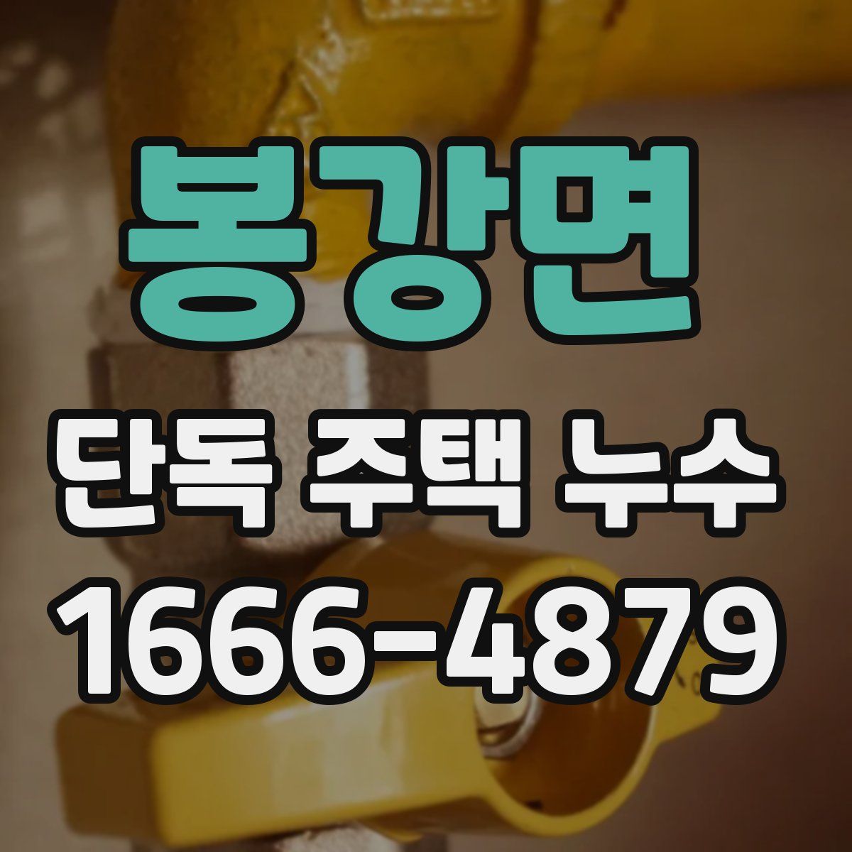 봉강면 단독 주택 누수