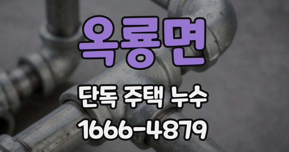 옥룡면 단독 주택 누수