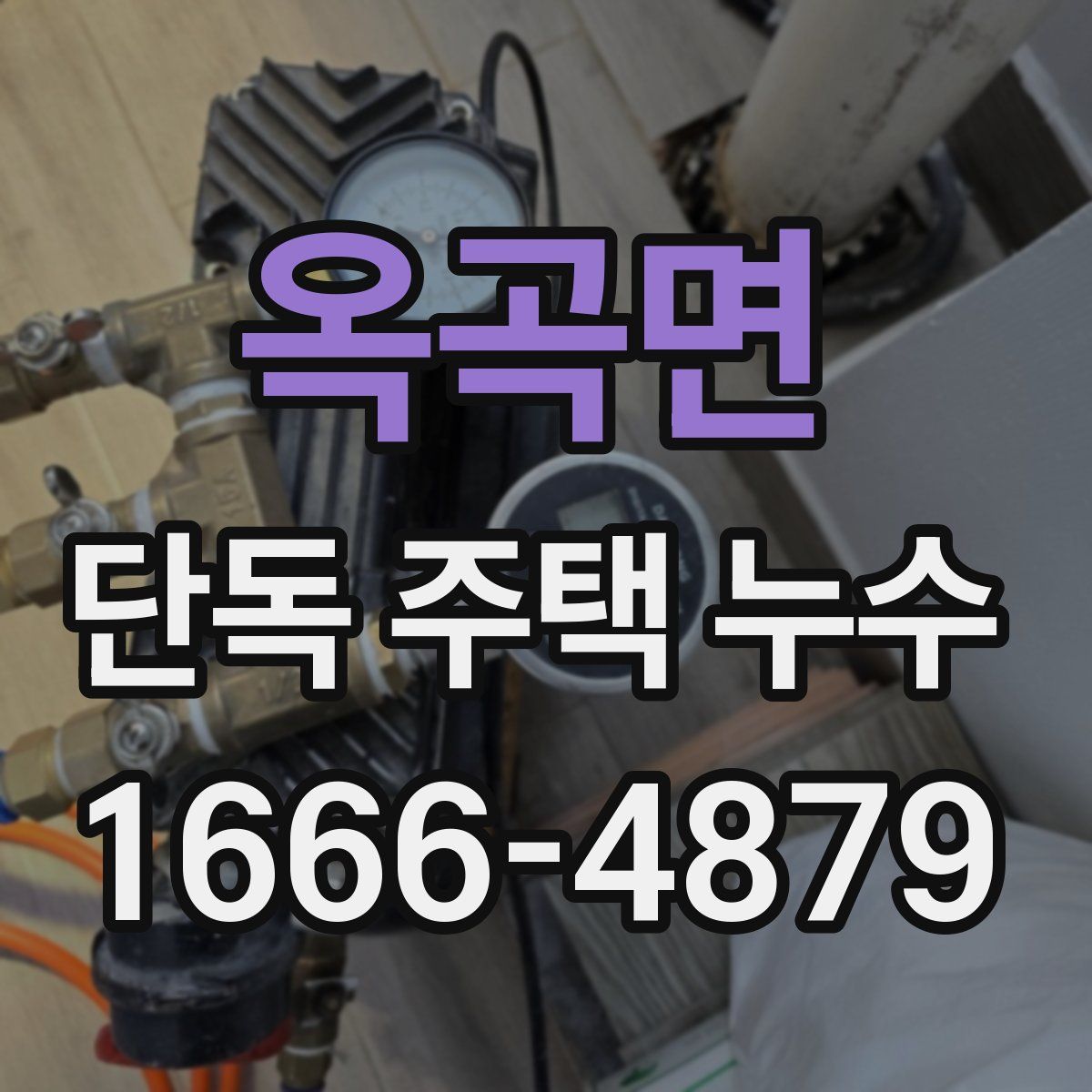 옥곡면 단독 주택 누수