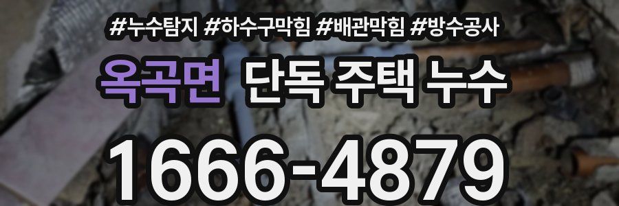 옥곡면 단독 주택 누수