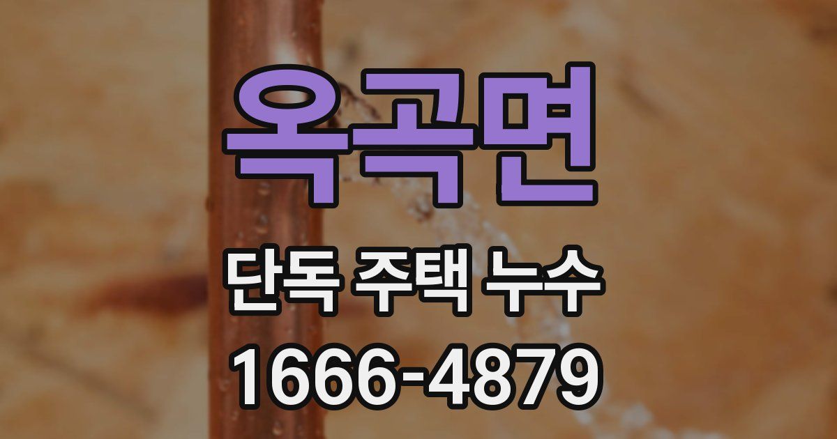옥곡면 단독 주택 누수