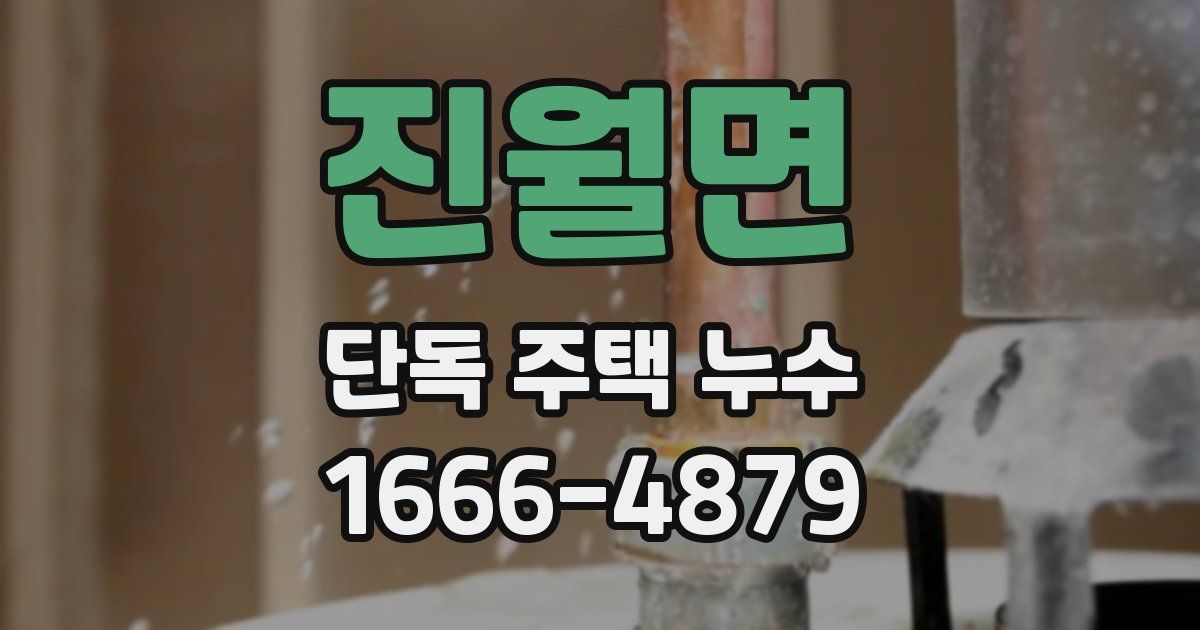 진월면 단독 주택 누수