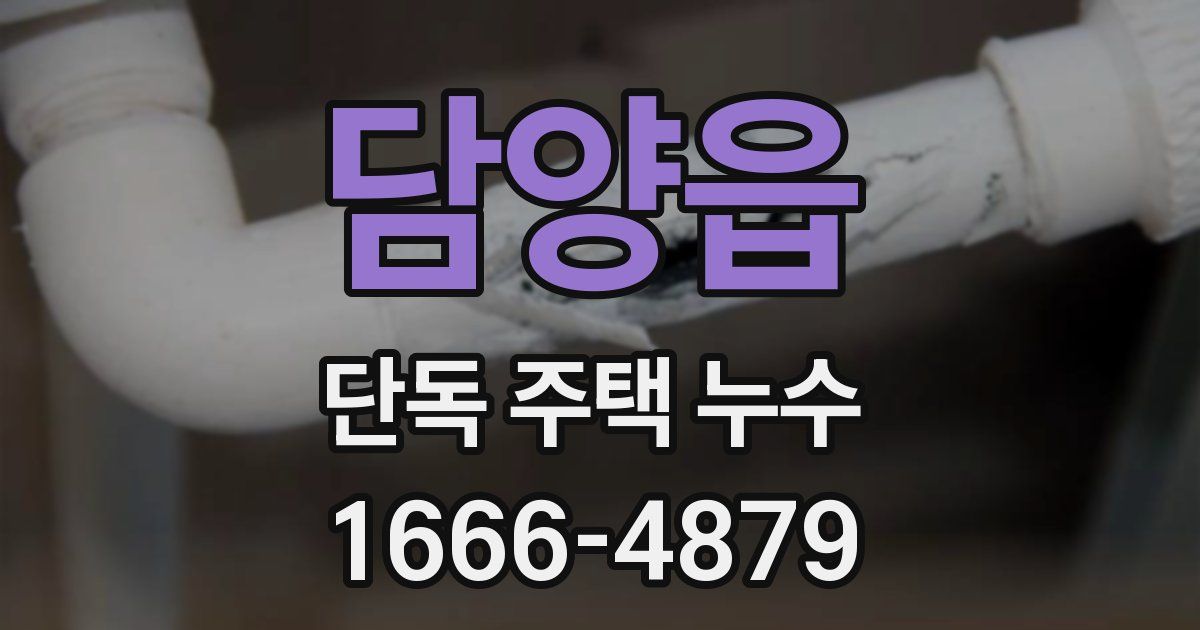 담양읍 단독 주택 누수