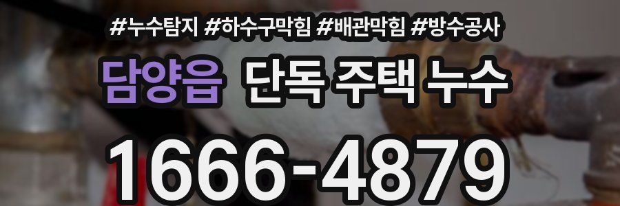 담양읍 단독 주택 누수