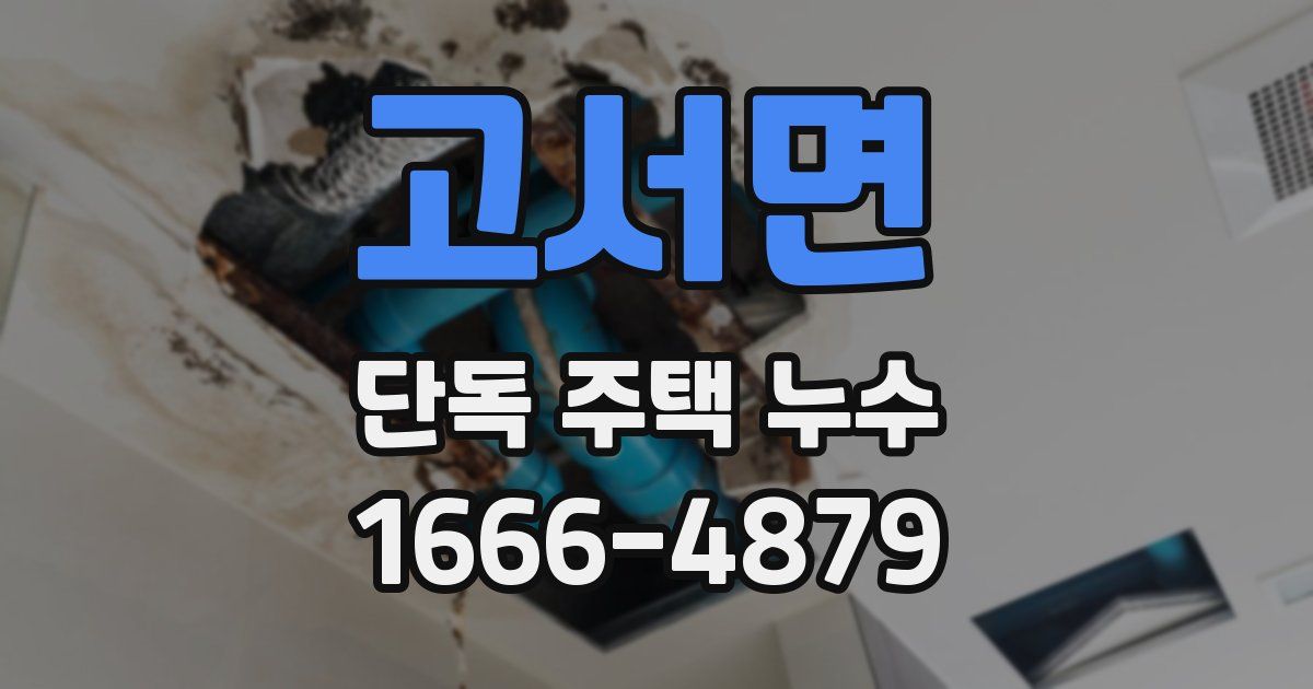 고서면 단독 주택 누수