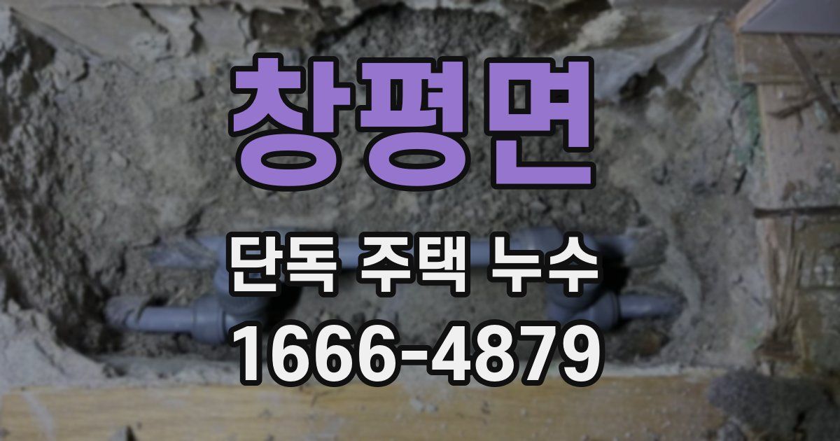 창평면 단독 주택 누수