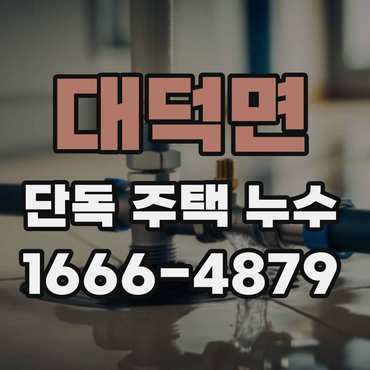 대덕면 단독 주택 누수
