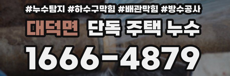 대덕면 단독 주택 누수