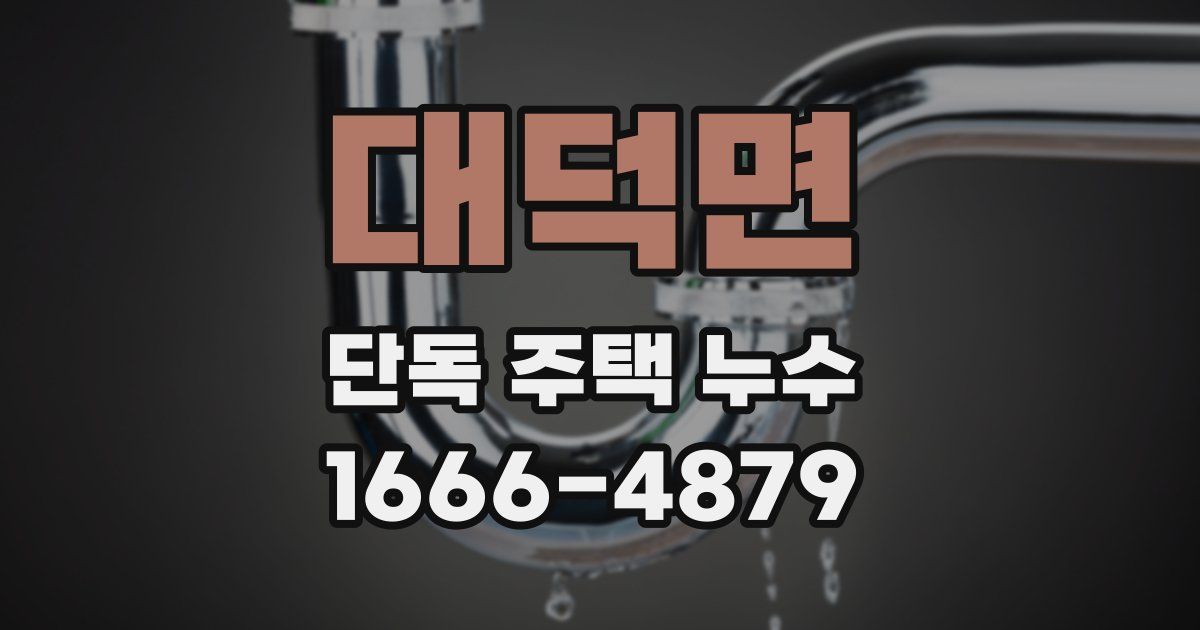 대덕면 단독 주택 누수