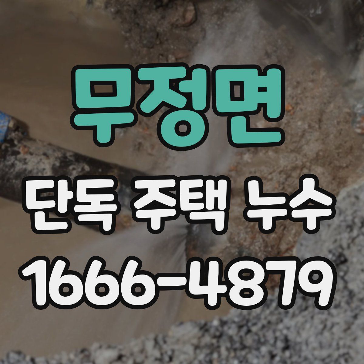 무정면 단독 주택 누수
