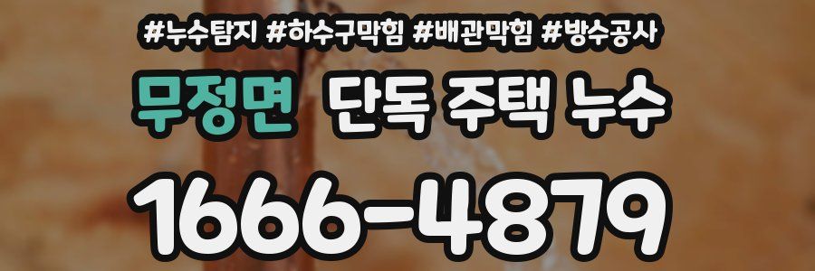 무정면 단독 주택 누수